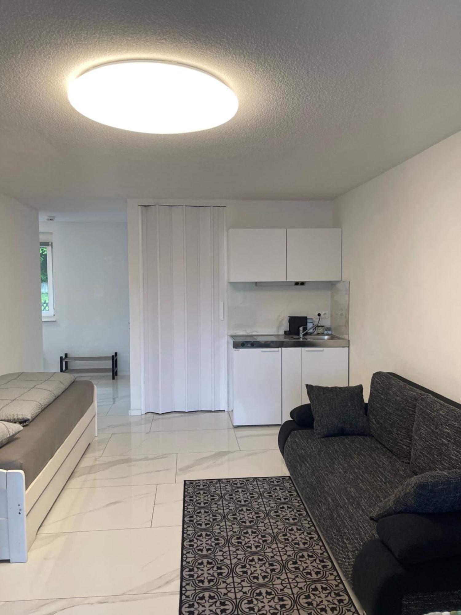 Apartment Bergsee Bad Säckingen Екстериор снимка